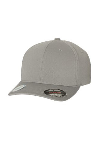 printing companies asheville - Flexfit-6597-silver