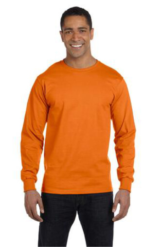 t shirts asheville - Hanes-5186