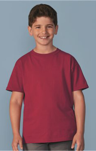 t shirts asheville - gildan2000B