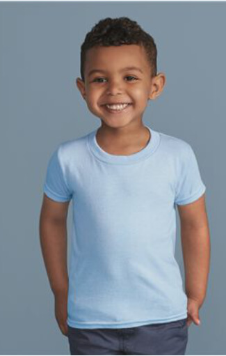 t shirts asheville - gildan-5100P