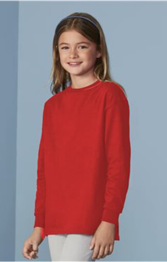 t shirt printers asheville - gildan-5400B