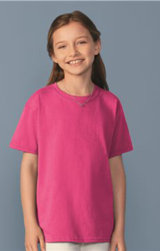 t shirts asheville - gildan-64500B