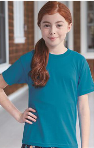t shirts asheville - hanes-5370
