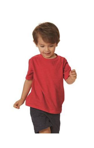 t shirts asheville - RS-3305-img