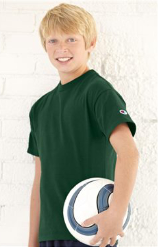 asheville t shirt - Champion-T435-img